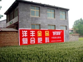 谷城如何让墙体广告展现最大化效果
