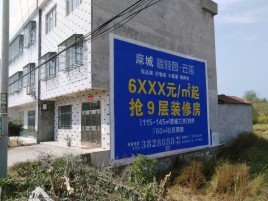 谷城墙体广告质量分析